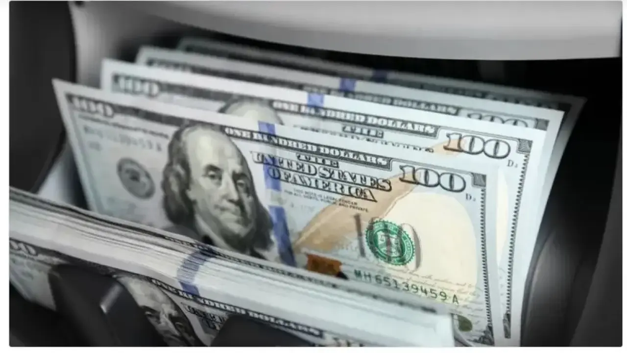 الدولار ينخفض تحت 50 جنيهاً في مصر وسط أسعار مفاجئة